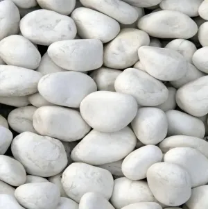 زلط بيض النعام